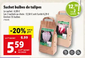 Lidl Sachet Bulbes De Tulipes offre