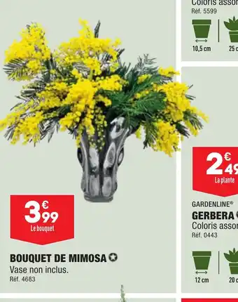 BOUQUET DE MIMOSA