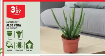 ALOE VERA