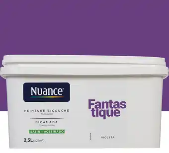 Bricorama Peinture bicouche - fantastique - satin - 2,5l offre