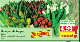 Norma Bouquet de tulipes offre