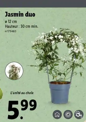 Lidl Jasmin duo offre