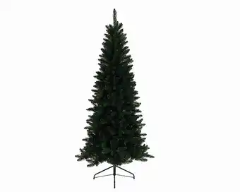 Bricorama Sapin vert offre