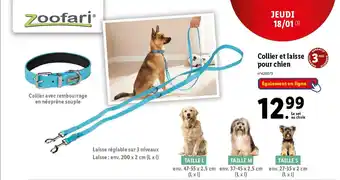 Lidl Collier et laisse pour chien offre