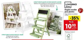 Lidl Étagère escalier pour plantes offre