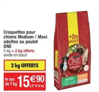 Cora x Carrefour Croquettes pour chiens Medium / Maxi adultes au poulet ONE offre