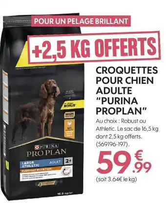 Purina croquettes pour chien adulte proplan