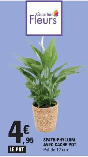 E.Leclerc SPATHIPHYLLUM AVEC CACHE POT offre