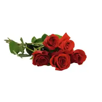 Auchan Bouquet de 5 roses très gros boutons offre