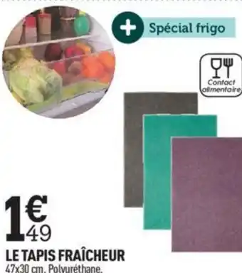 Centrakor LE TAPIS FRAÎCHEUR 47x30 cm. Polyuréthane. offre