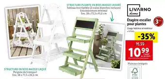 Lidl Livarno étagère escalier pour plantes offre