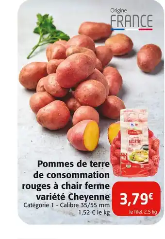 Colruyt Priméale pommes de terre de consommation rouges à chair ferme variété cheyenne offre