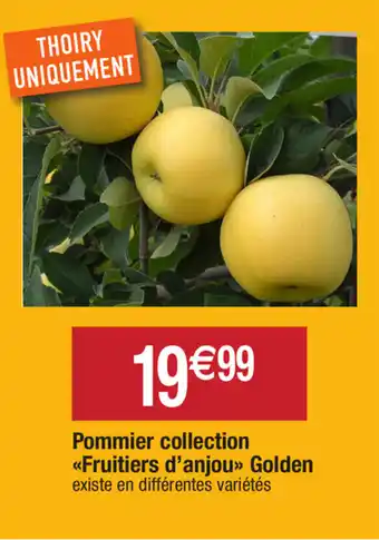 Pommier collection