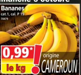 Norma Bananes offre