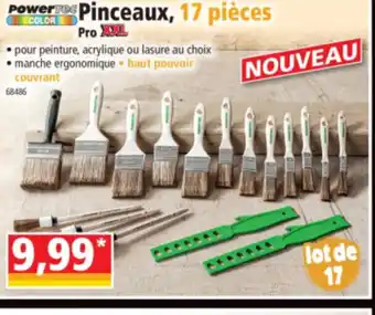 Norma Pinceaux offre