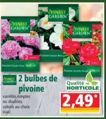 2 bulbes de pivoine