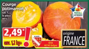 Norma Courge potimarron offre