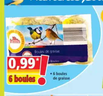 Norma 6 Boules offre