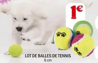 La Foir'Fouille Lot de balles de tennis offre