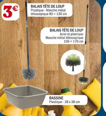 Balais tĂȘte de loup ou bassine