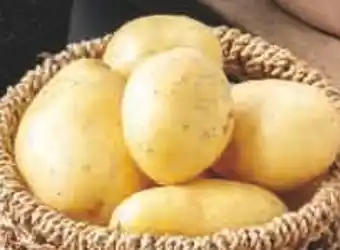 Super U Pomme de terre de consommation offre
