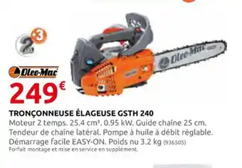 Rural Master TRONÇONNEUSE ÉLAGEUSE GSTH 240 offre