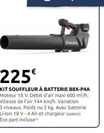 Rural Master KIT SOUFFLEUR À BATTERIE B8X-P4A offre