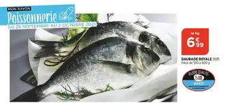 Bi1 Daurade Royale offre