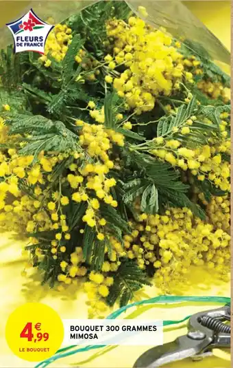 BOUQUET 300 GRAMMES MIMOSA