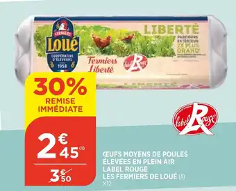 Œufs Moyens de Poules Élevées En Plein Air