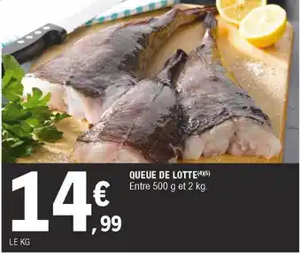 E.Leclerc Queue De Lotte offre