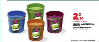 Super U Bougie à La Citronnelle Ushuaïa - Pot Eco Responsable offre