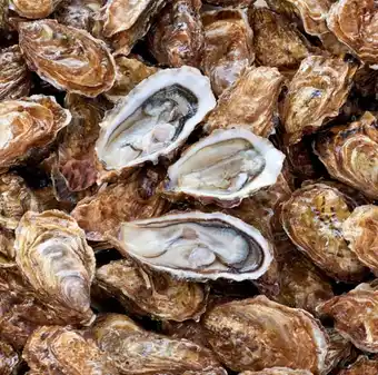 Carrefour Huitres creuses filiere qualite carrefour offre