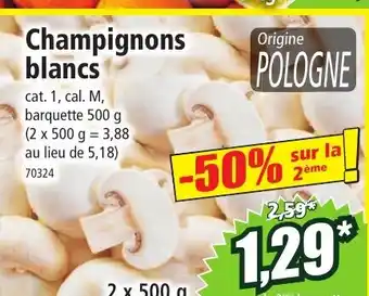 Norma Champignons blancs offre