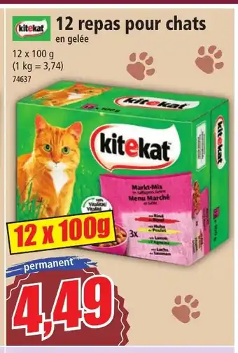 Norma 12 repas pour chats offre