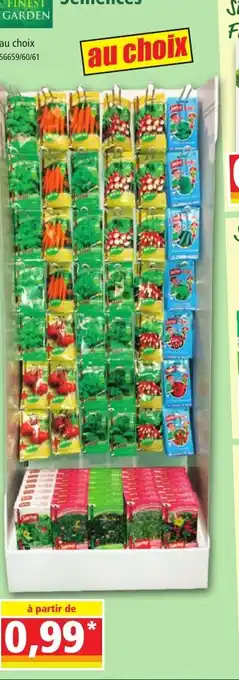 Norma Semences offre