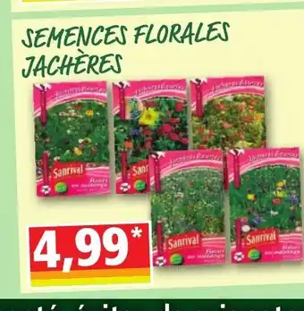 Norma SEMENCES FLORALES JACHÈRES offre