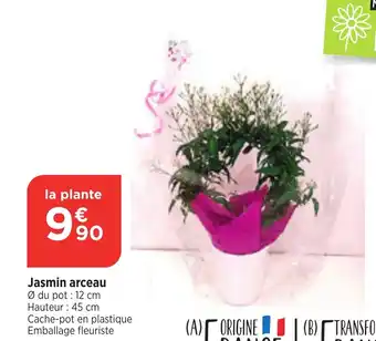 Jasmin arceau