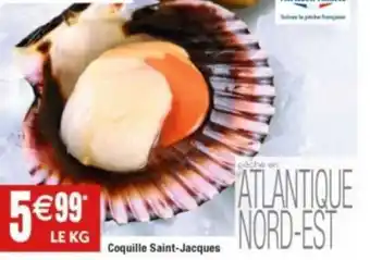 Coquille Saint-Jacques