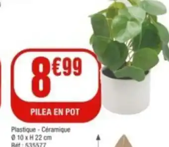 La Foir'Fouille PILEA EN POT offre