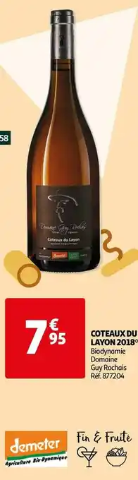 Auchan Domaine guy rochais coteaux du layon 2018 offre