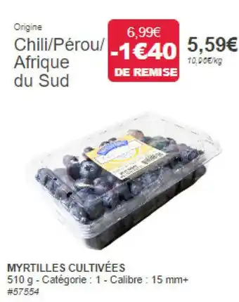 MYRTILLES CULTIVÉES