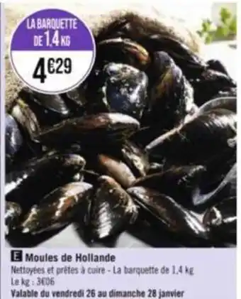 Moules de Hollande