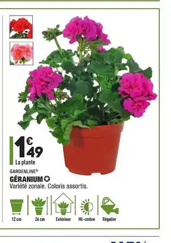 ALDI Gardenline Géranium offre