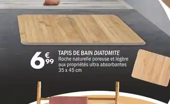 La Foir'Fouille TAPIS DE BAIN DIATOMITE offre