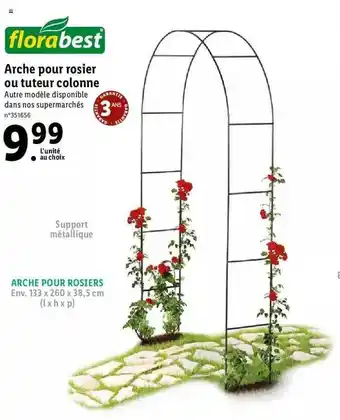 Lidl Arche Pour Rosier Ou Tuteur Colonne Florabest offre