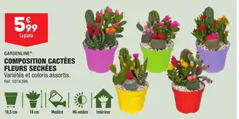 ALDI GARDENLINE® COMPOSITION CACTÉES FLEURS SECHÉES offre