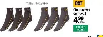 Cat chaussettes de travail