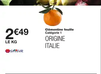 Clémentine feuille