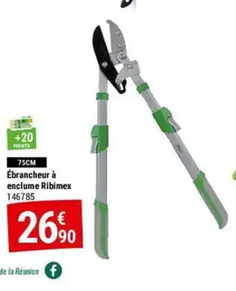 Ăbrancheur Ă enclume Ribimex